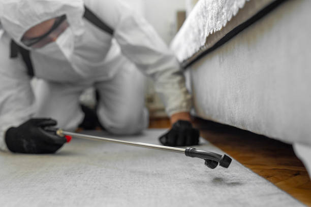Professional Pest Control technician working in Callahan County County, TX